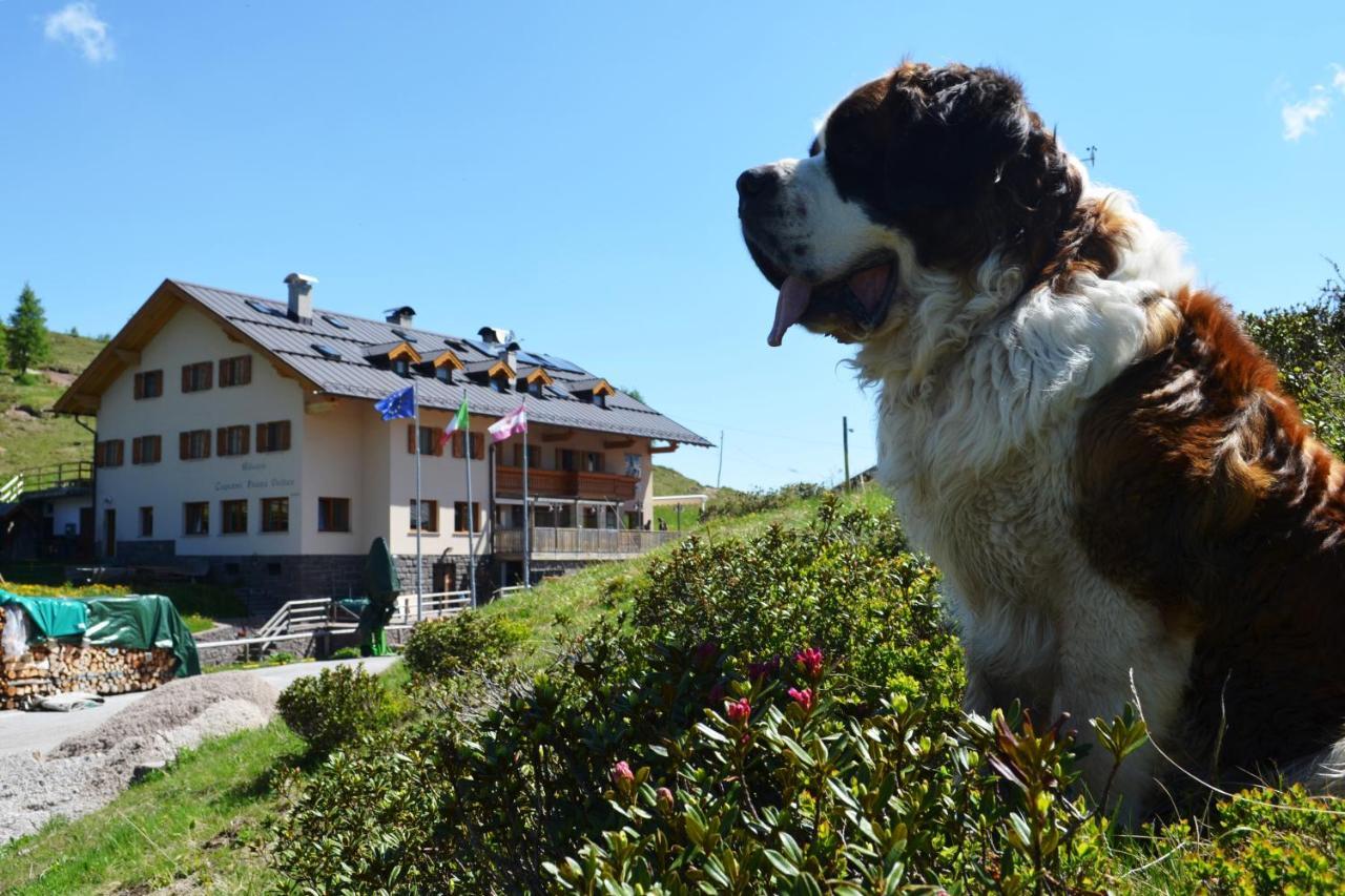 Rifugio Capanna Passo Valles Falcade Kültér fotó