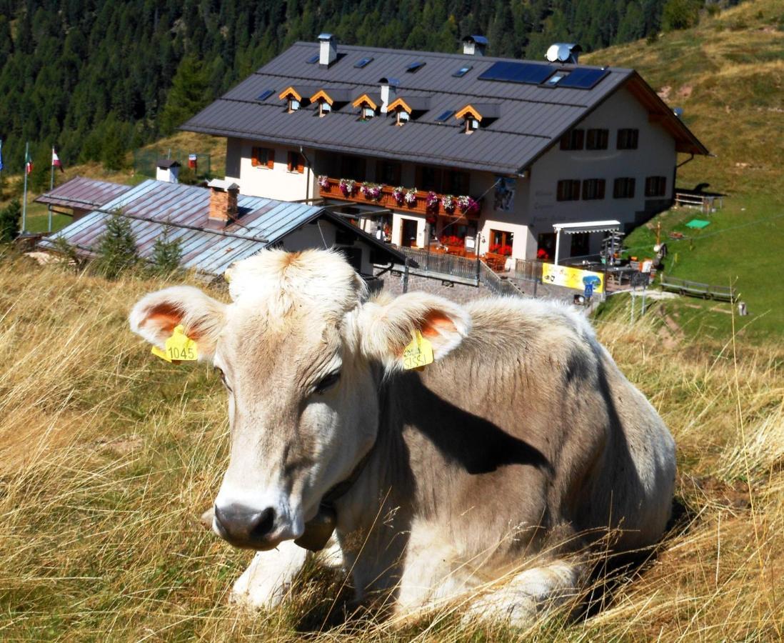 Rifugio Capanna Passo Valles Falcade Kültér fotó